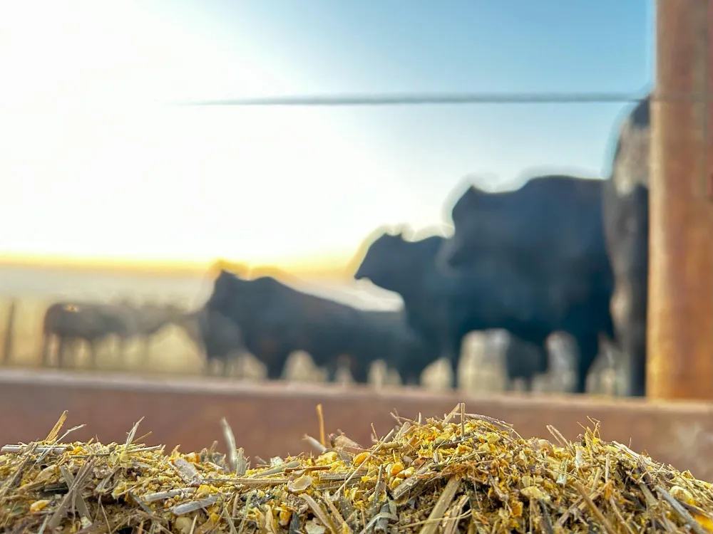 Agri-Investment